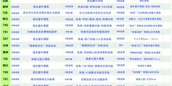 满冠体育app下载- 英超薪资帽新政出炉，豪门面临财政压力  